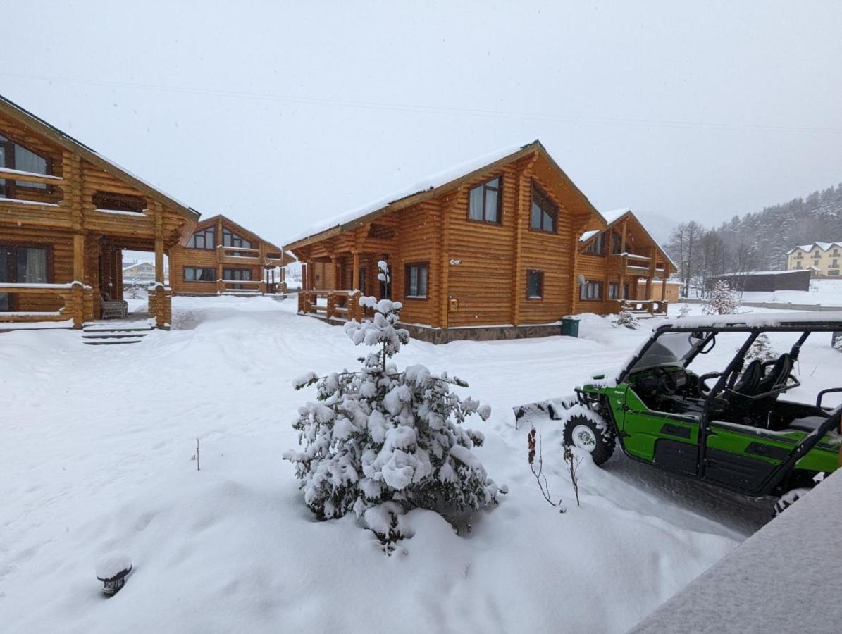 Log House Villa Bakoerjani Buitenkant foto